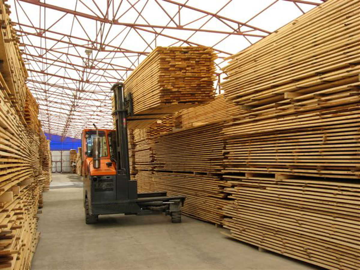 ممنوعیت صادرات چوب روسیه به کشورهای اروپایی